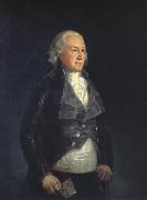 Francisco Goya Don pedro,duque de osuna Sweden oil painting artist